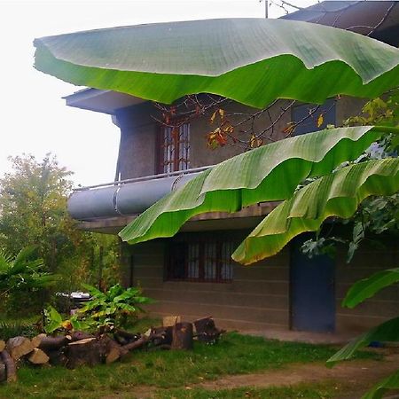 Farmer'S Guest House Τελάβι Εξωτερικό φωτογραφία