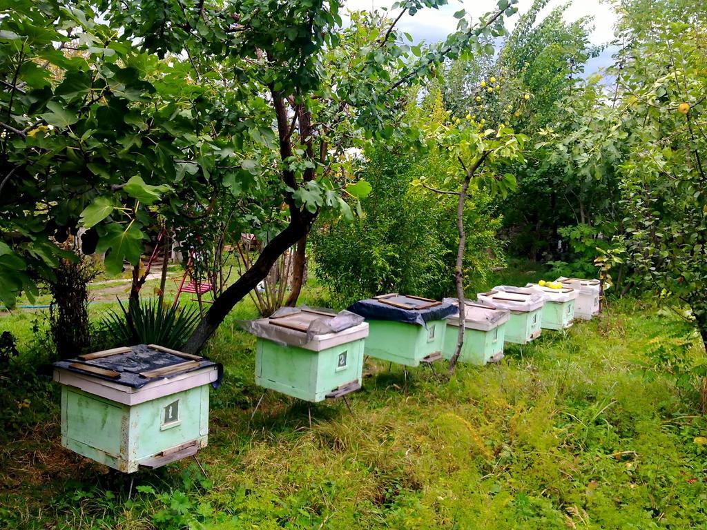 Farmer'S Guest House Τελάβι Εξωτερικό φωτογραφία