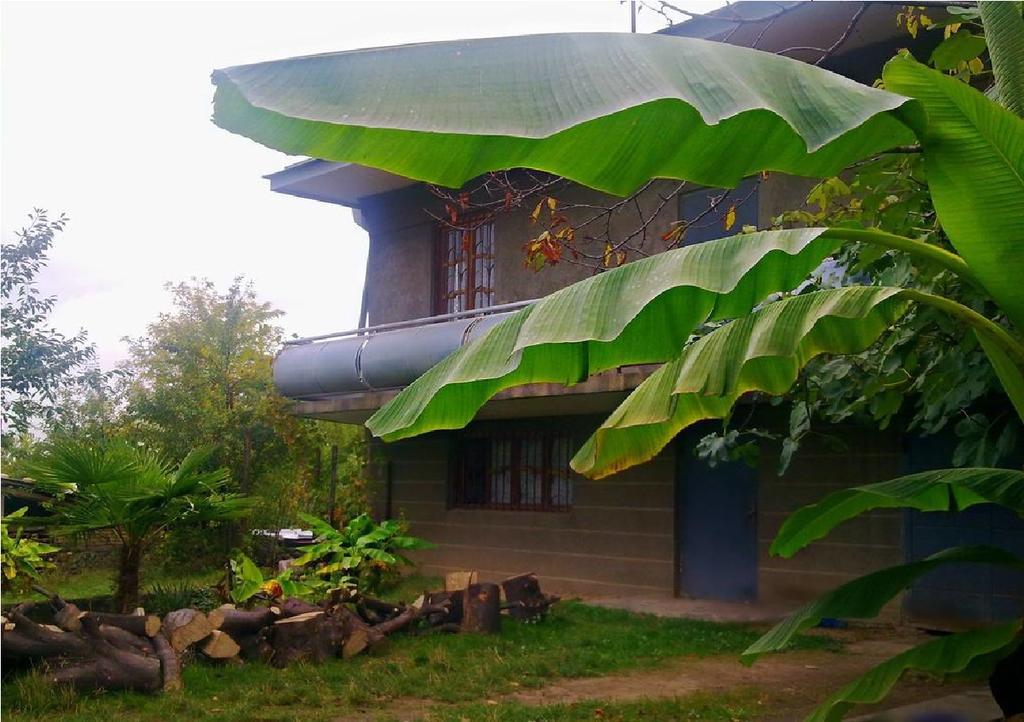 Farmer'S Guest House Τελάβι Εξωτερικό φωτογραφία